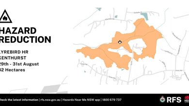 NSW RFS Kenthurst RFS Hazard Reduction Burn Lyrebird