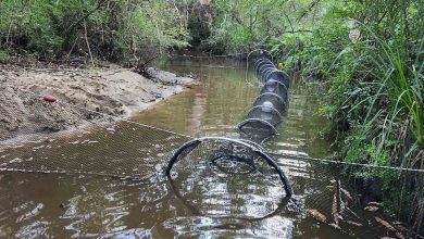 Platypus Month: The Platypus Project in the Hills