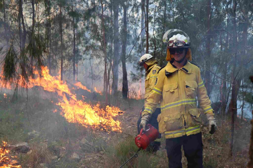Hazard Reduction at Woods Creek Grose Wold