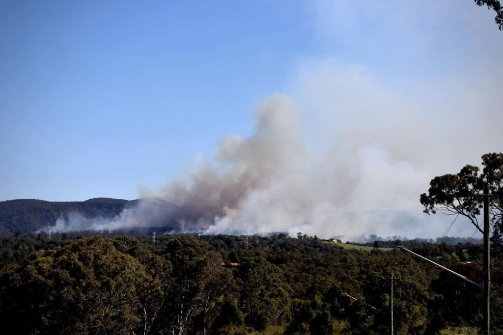 Hazard Reduction Burn at Woods Creek