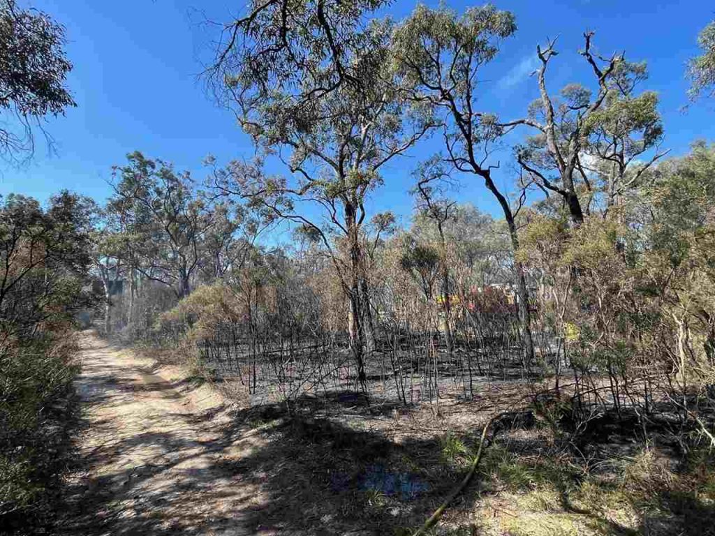 Springwood Road Yarramundi