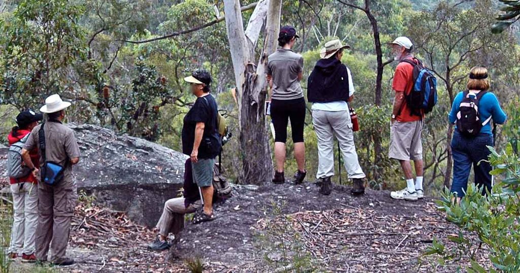 Bushwalking