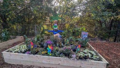 Hawkesbury City Council Community Sponsorship Program