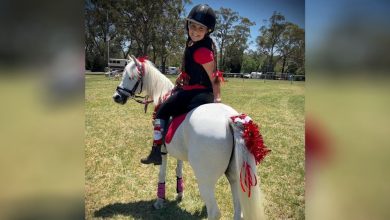 Dural & Districts Pony Club - Come and Try Day