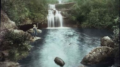 Frederica Falls Lawson 1910; Blue Mountains City Library Collection