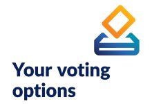 NSW Electoral Commission State by-elections Voting Options