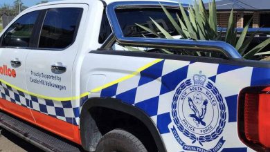 The Hills Police Area Command Blood Dragon Tree