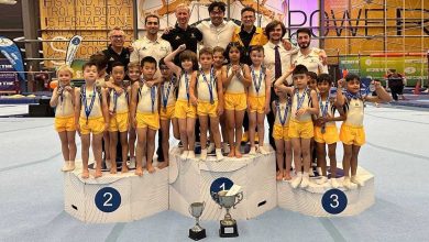 Sydney Hills Gymnasts: Champions In Artistic Gymnastics