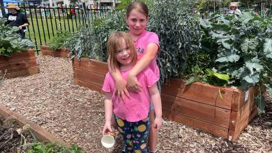 Baulkham Hills Community Garden