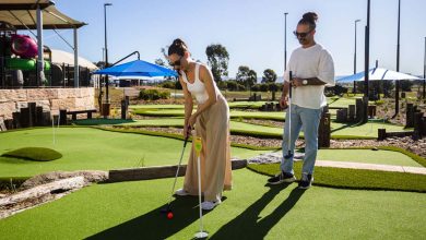 Lynwood Links: A Family Fun Hole-in-one!