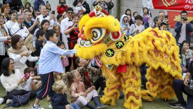 Hills Lunar Festival