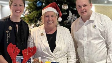 Mayor's Christmas Appeal and Library Amnesty