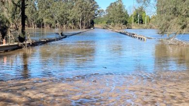 Redbank Creek Flood Study Seeks Community Input