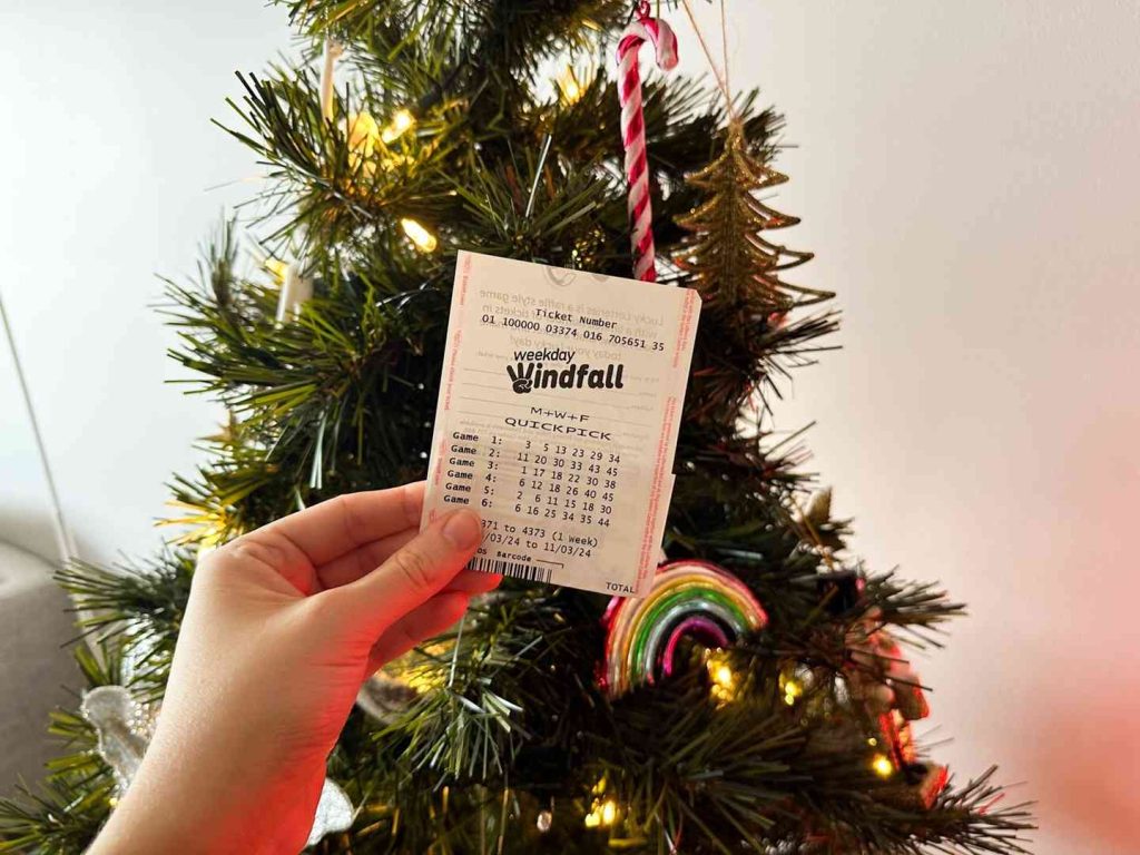 Kellyville grandmother's $1 million The Lott win