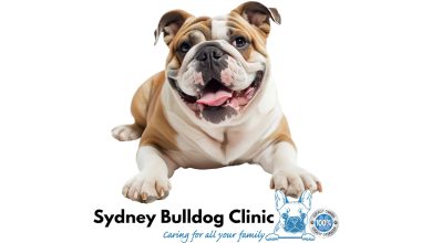Sydney Animal Hospitals