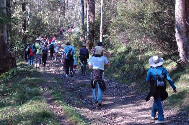 O’hara’s Creek Fire Trail Walk