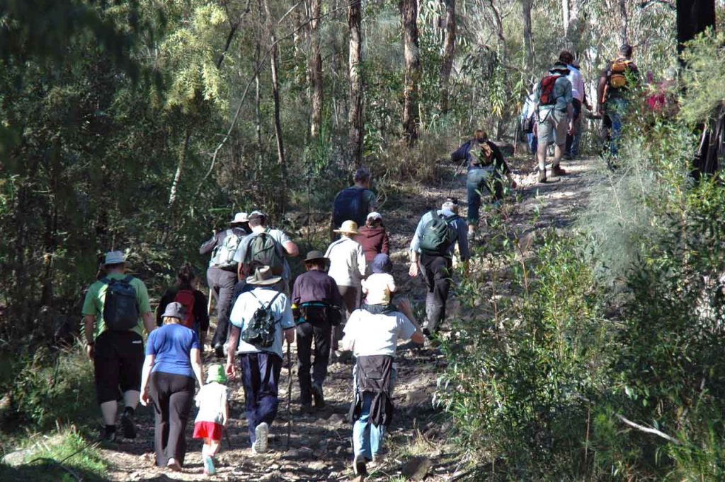 O’hara’s Creek Fire Trail Walk