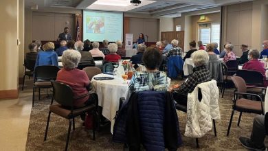 Hills Seniors Groups: Community Groups Travel Opportunities