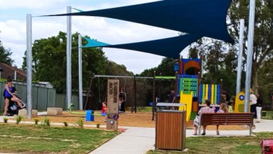 Jack Gow Reserve, new playground