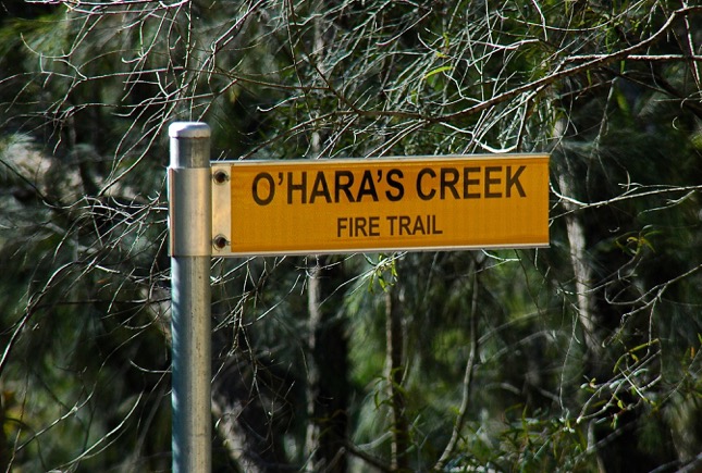 O’hara’s Creek Fire Trail Walk