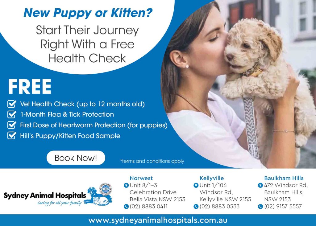 Start The Year Right: Veterinary Care For Your New Puppy