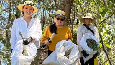 Hornsby Shire Council Launches New-Bub Bushcare Program