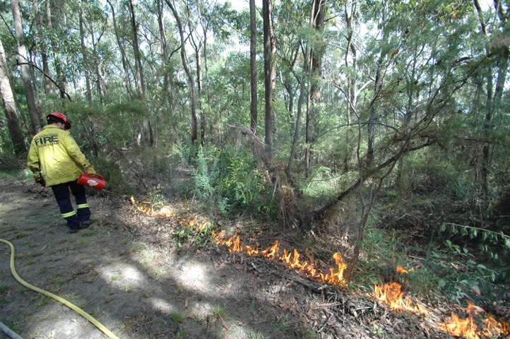 Hazard Reduction Burns
