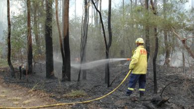 Hazard Reduction Burns