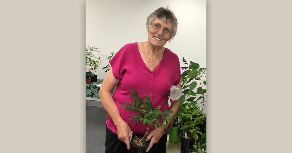 Macquarie Towns Garden Club's Plant Sale