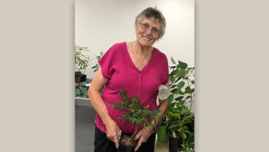 Macquarie Towns Garden Club's Plant Sale