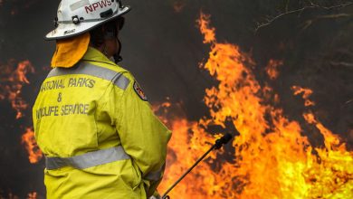 Hazard Reduction Burn