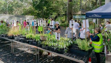 Get Your Free Native Plants This March
