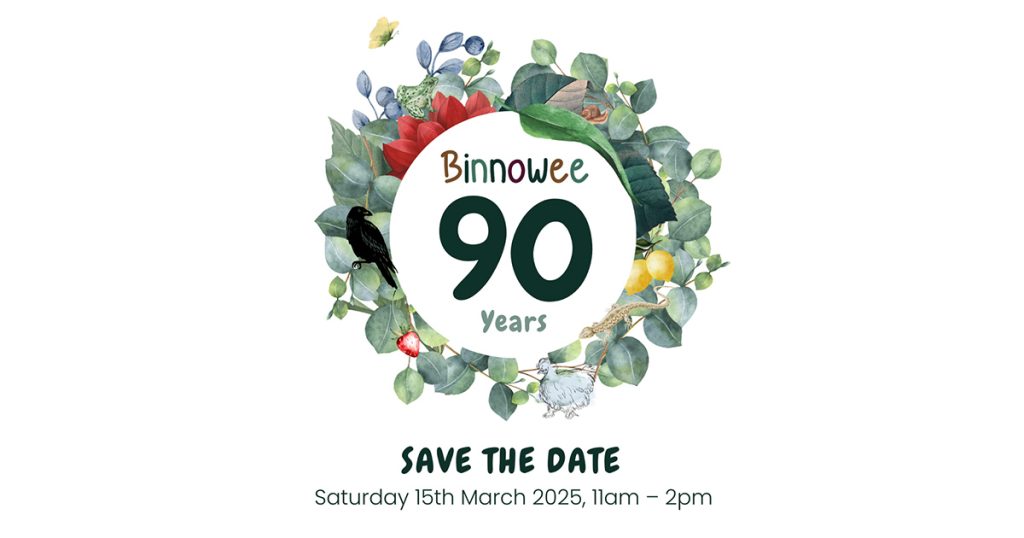 Binnowee Kindergarten: 90 Years of Nurturing Young Minds