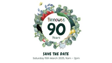 Binnowee Kindergarten: 90 Years of Nurturing Young Minds