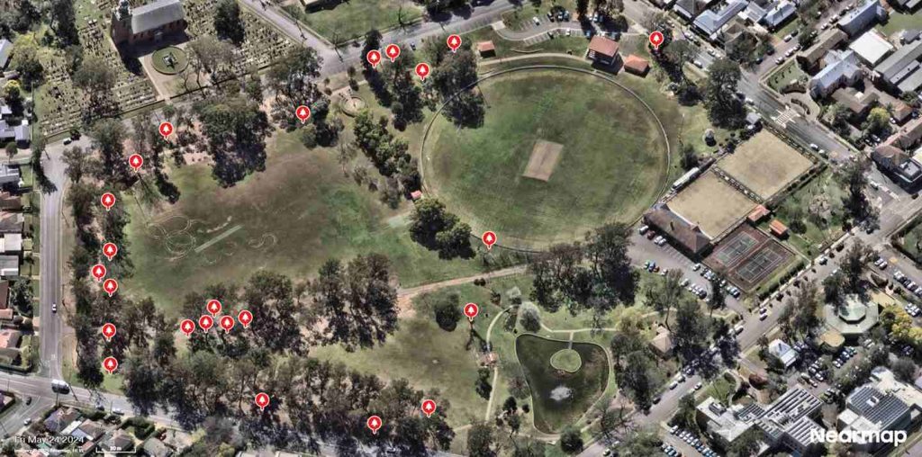 Tree Removal at McQuade Park