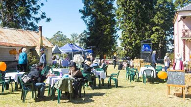 Open Day At Bella Vista Farm - 6th April