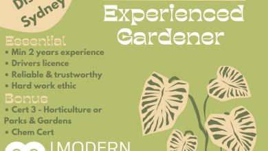 Experienced Gardener Wanted - Modern Outdoors