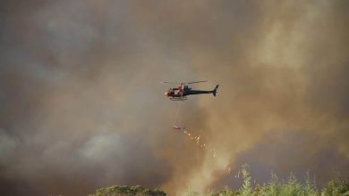 A fire chopper during a Hazard Reduction burn in Hawkesbury