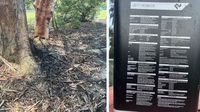 What Are Those Black Stains At Hayes Oval?