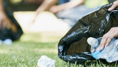 Litter Prevention Plan Hawkesbury Launches $400K
