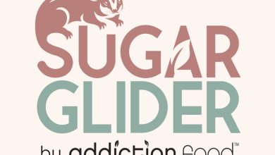 Sugar glider