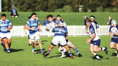 Boost for Eastwood Rugby’s Castle Hill Plans