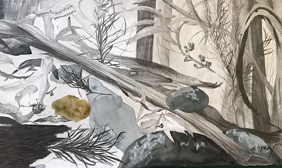 Australian Plantscapes & Responsive Drawing
