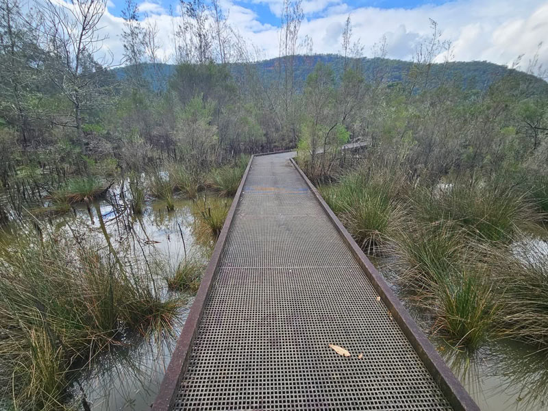 One Tree Reach Wetland