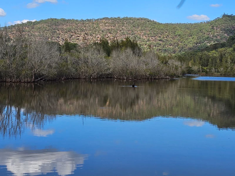 One Tree Reach Wetland