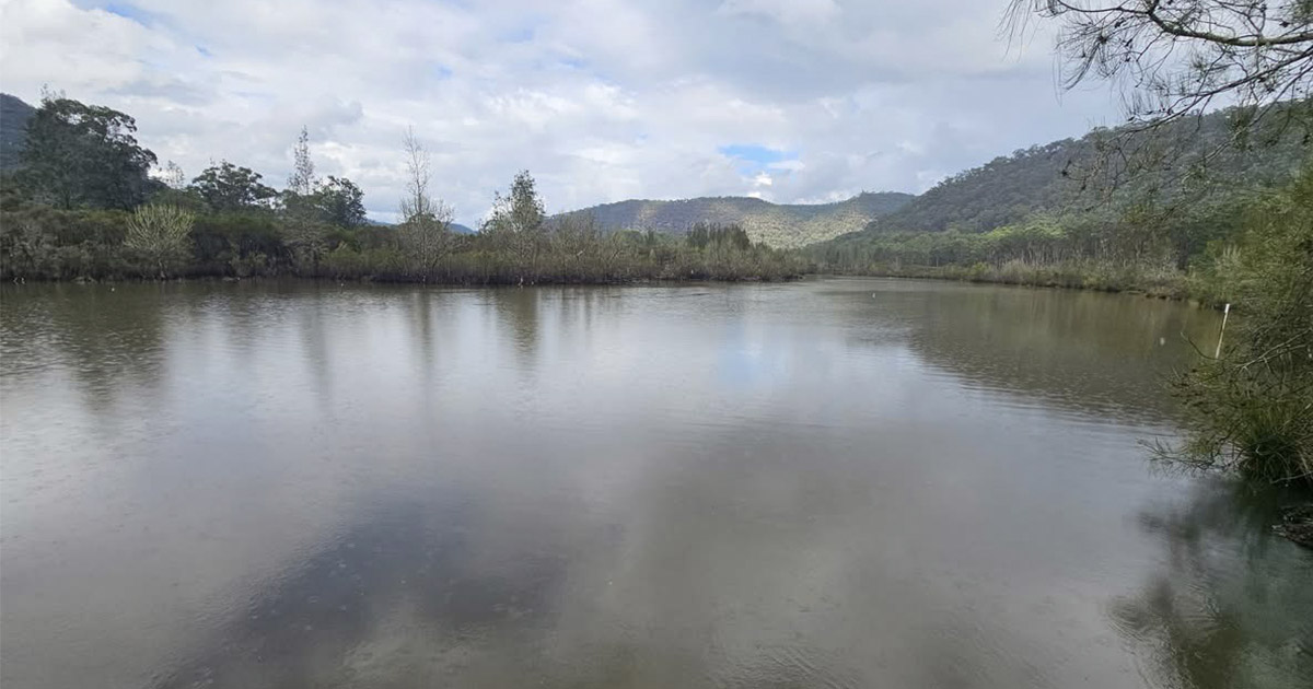 One Tree Reach Wetland