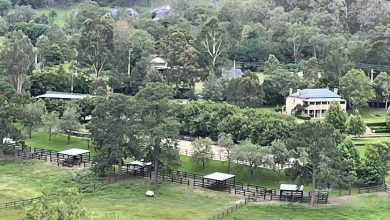 Discover A Farmers Market In The Northern Hawkesbury
