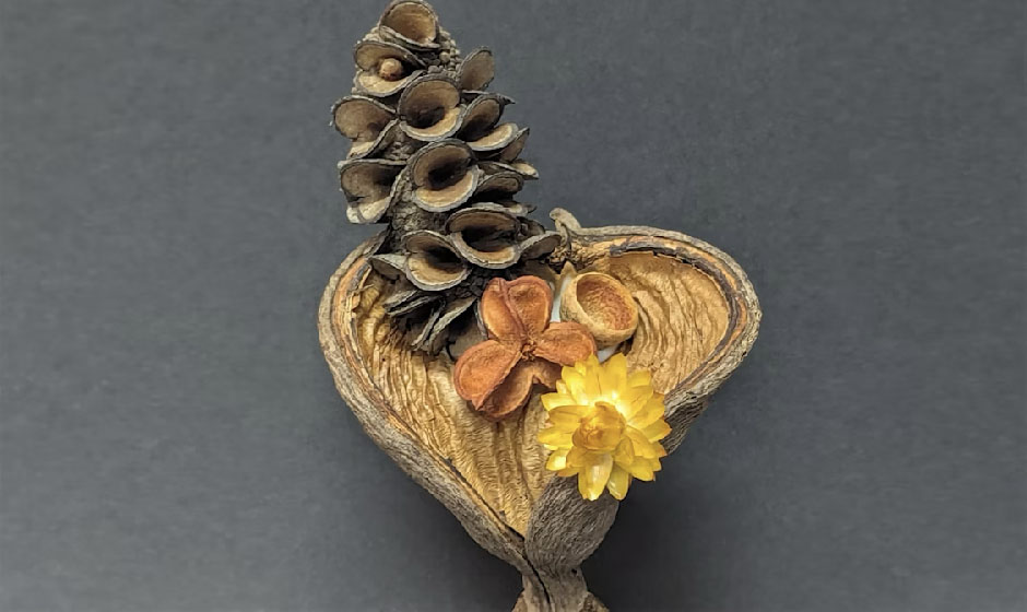 School Holidays: Seed Pods of Hope (7 – 12 YRS)