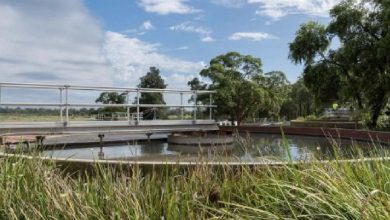 Wastewater System in Council’s Sights for Sydney Water
