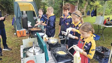Exciting Dural Cub-Scout Activities 2025